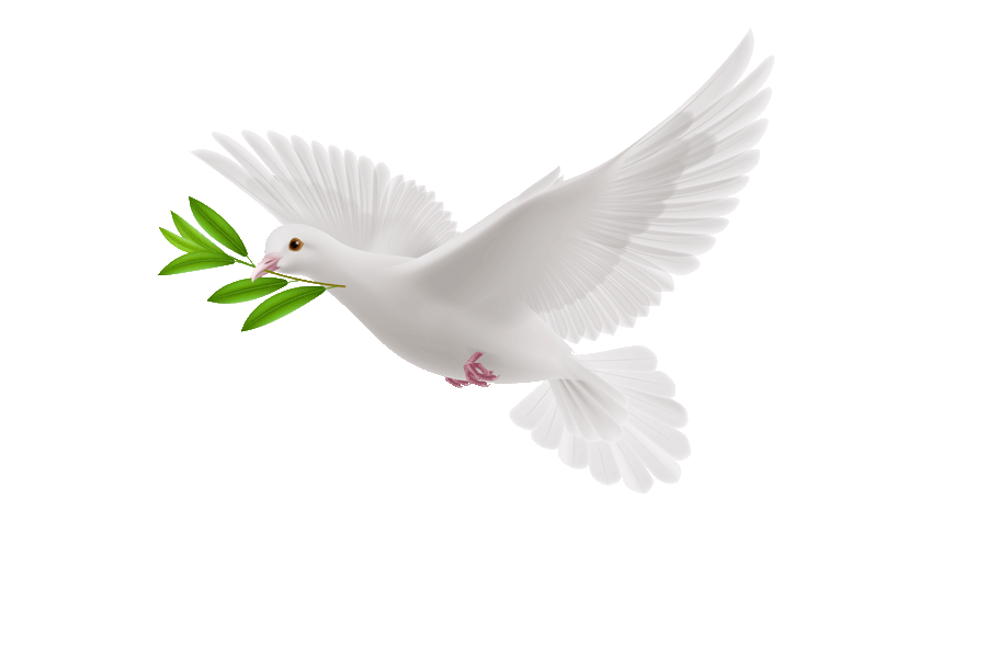 Porumbel alb — simbol al Duhului Sfânt